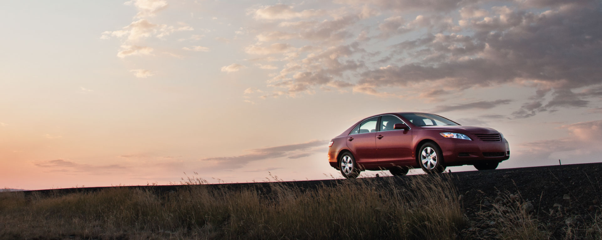 BaeCars host earning from their car