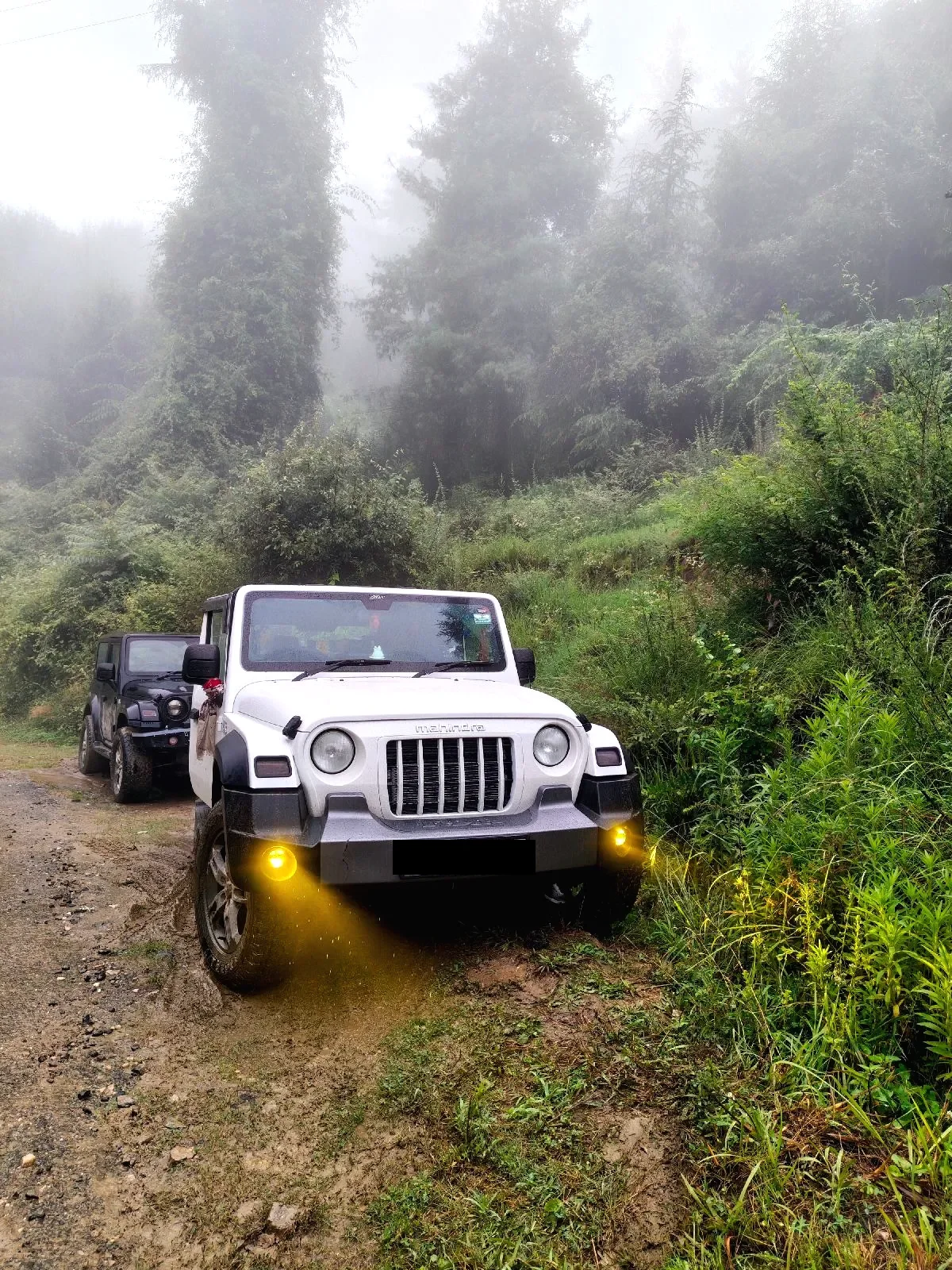 Mahindra Thar self-drive in Dehradun